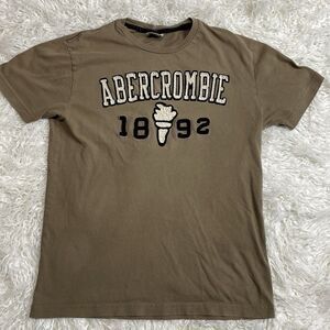 Abercrombie & Fitch T Shirt Men’s Size Medium Brown Y2K Fashion